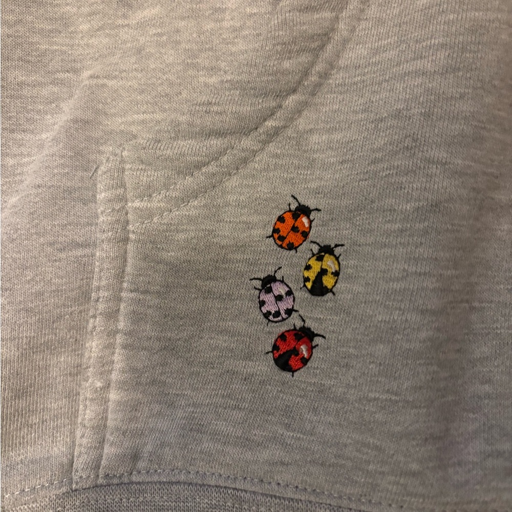 *Rare* Alltimers Grey Bugged out Hoodie